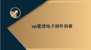 vp管理电子邮件列表